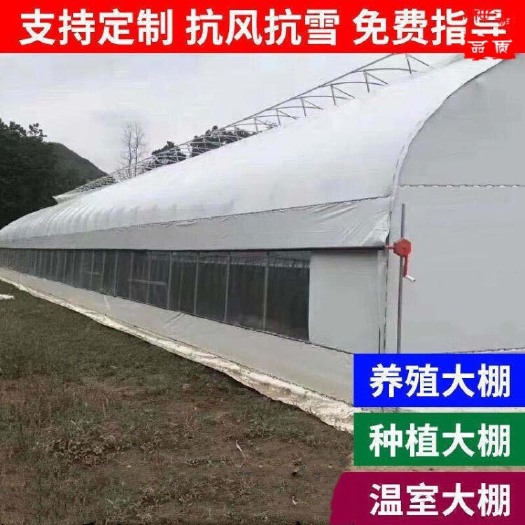 天津养殖大棚 包塑椭圆管 结实耐用反腐蚀 厂家直销发货快