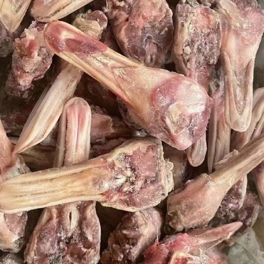 广州带舌鸭下巴