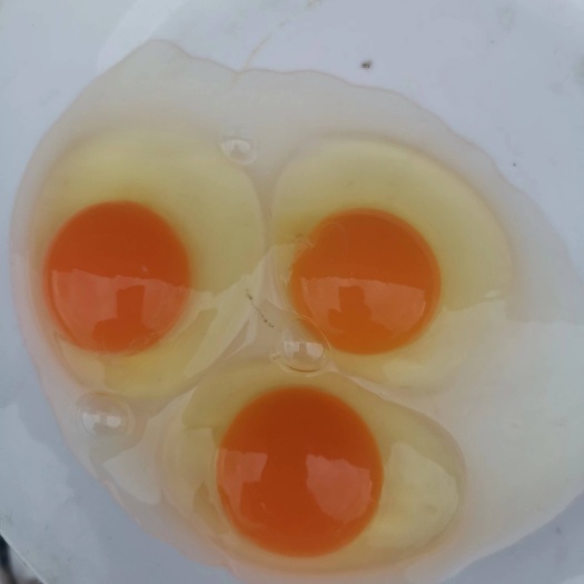 上海精品虫草鸡蛋，粉壳，双色，红心