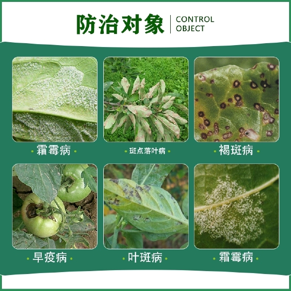 科能蓝色  百菌清 广谱性杀菌剂