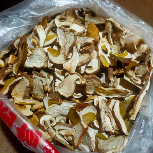 盐源县牛肝菌干片