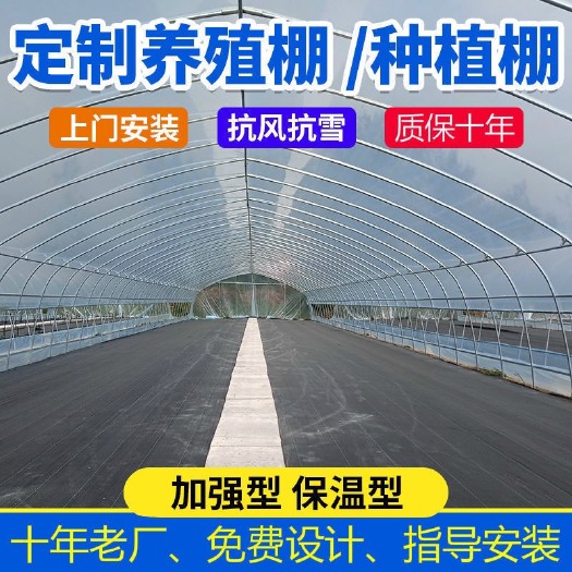 天津大棚骨架 镀锌圆管 蔬菜大棚 养殖大棚 厂家直销发货快