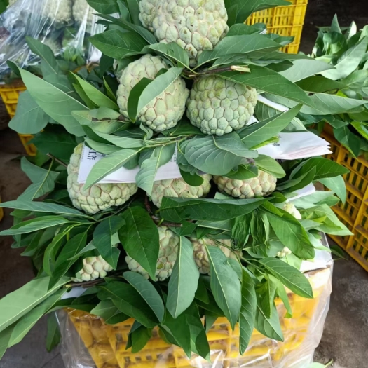 广州番荔枝