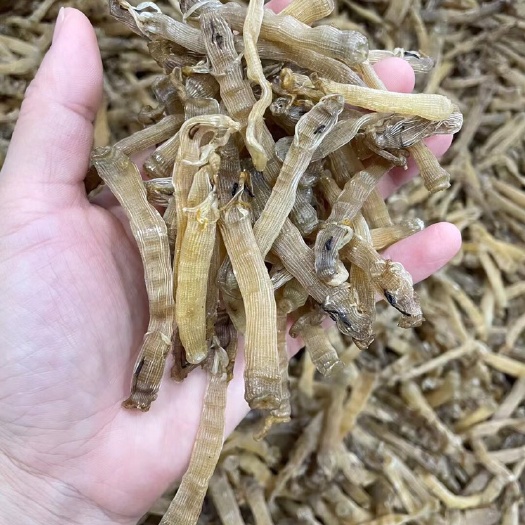 阳江阳江海味本港渔民自晒精选大中沙虫干，干净，足干，香味十足