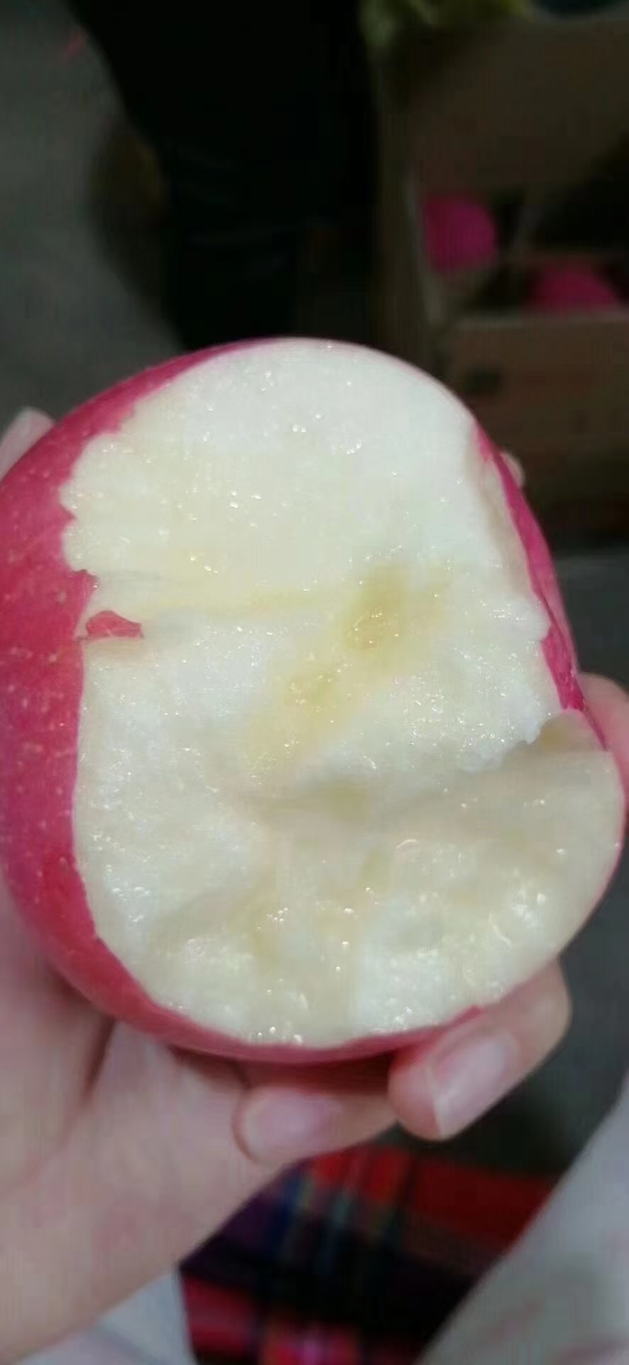 陕西苹果  新鲜采摘，产区直接发货