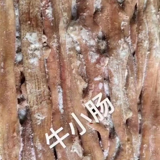 阳信县抛开牛小肠 去油牛小肠 精修去油国产牛小肠 纯干牛肠 牛小肠