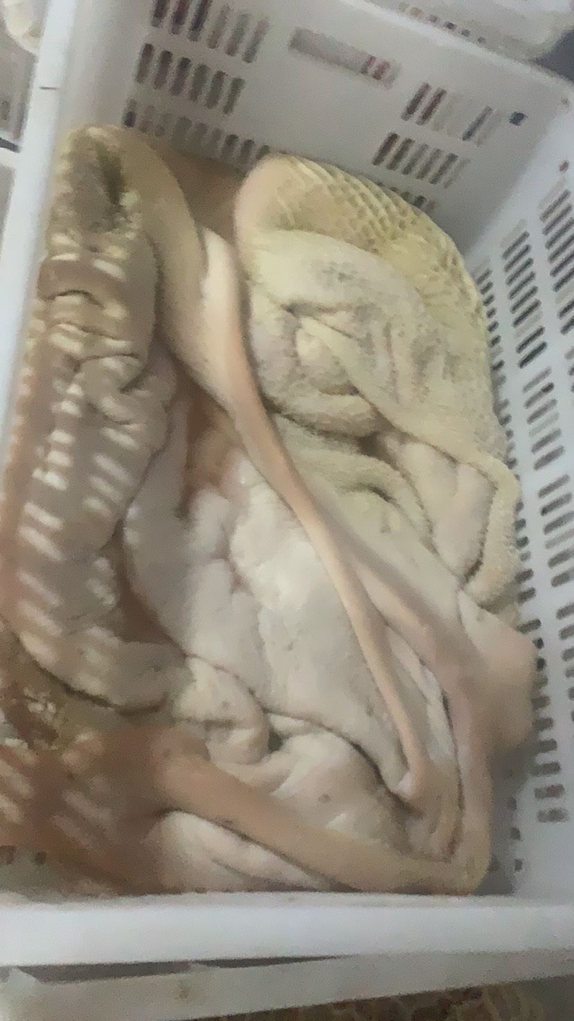 飞水牛肚 出成高 无碱发