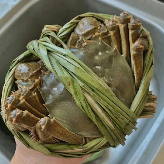 兴化市兴化大闸蟹产地直销