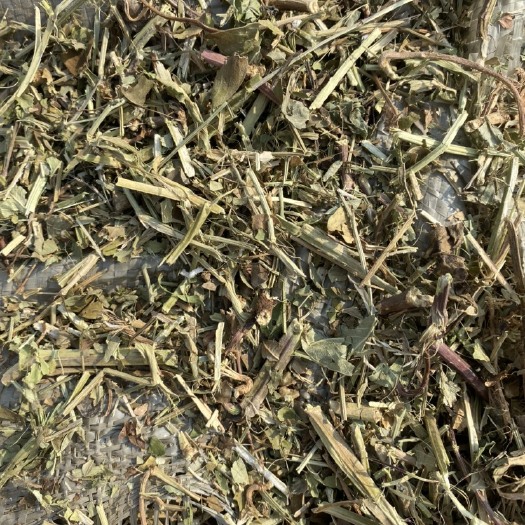 正阳县23年新花生秧一级花生秧
