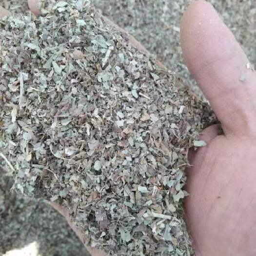 洛阳优质花生秧叶粉，无土无膜无霉变！风旋机加工出来的草料非常干净