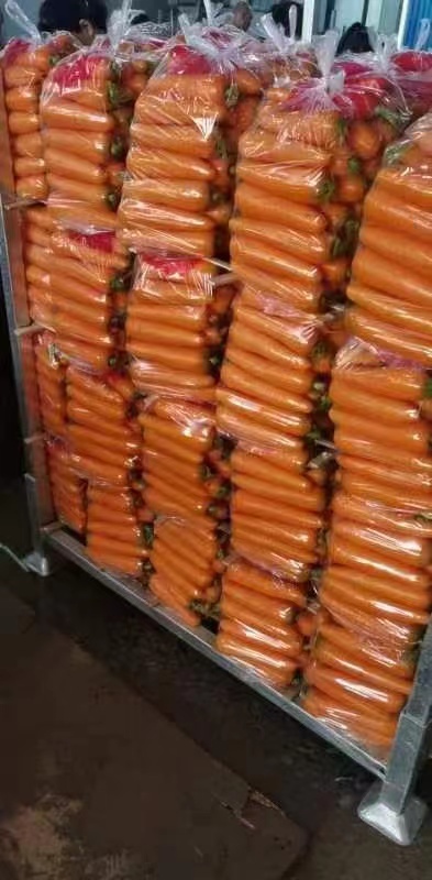 莱西市三红胡萝卜
