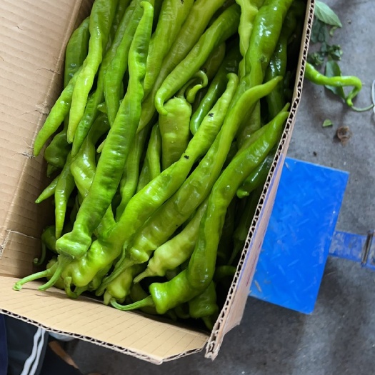 厦门新鲜果蔬