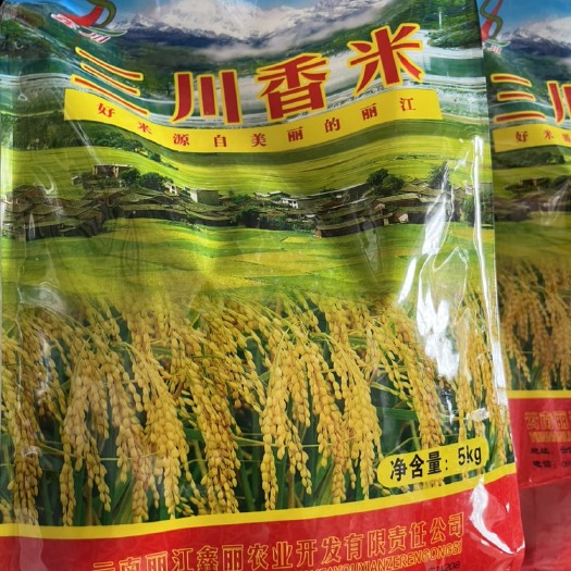 永胜县香米