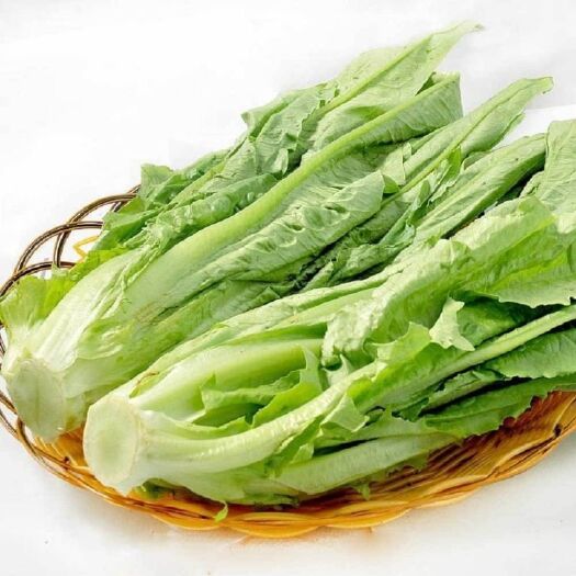 长阳县陈小谋家的青菜