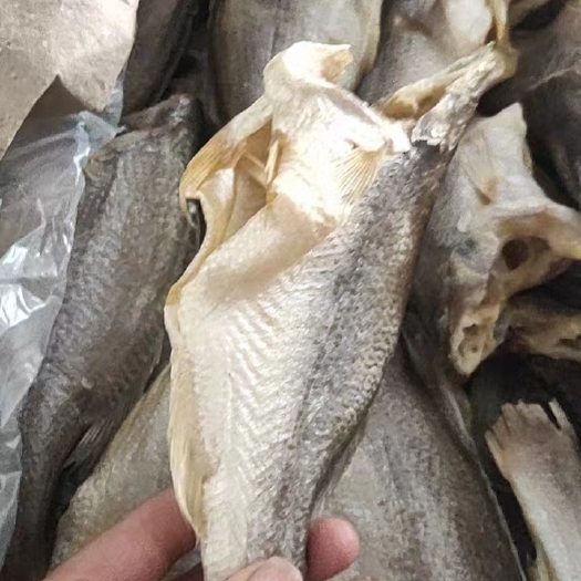 广州深海鲈鱼干，一斤3条左右，干度适合，一件30斤，全国可以发货