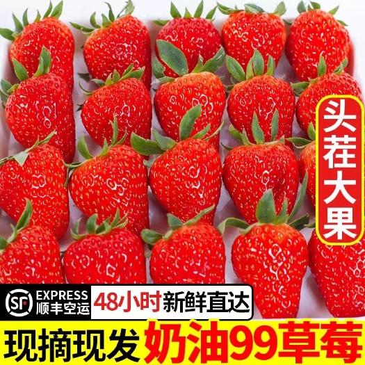 徐州【草莓电商一件代发】红颜草莓专业电商平台，直播带货一件代发