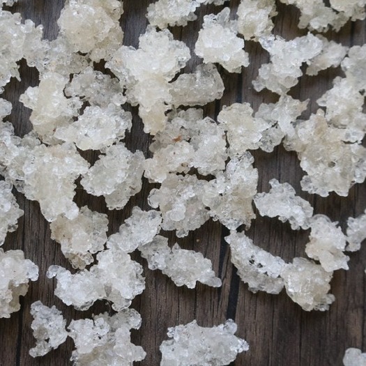 昆明拉丝雪燕 无杂雪燕云南植物龙须雪燕  批发一件代发