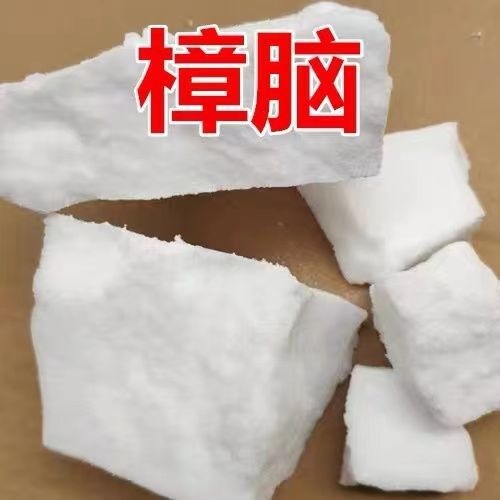 樟脑 中药材樟脑