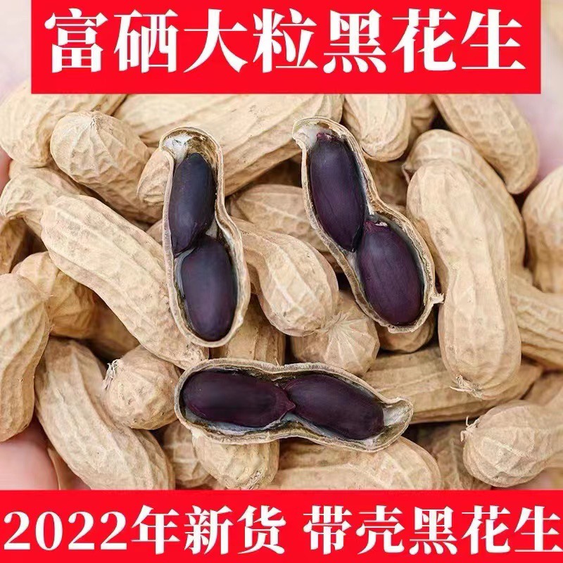 清丰县农家自种带壳￼手工挑选￼富硒黑花生，可做种子23年新货