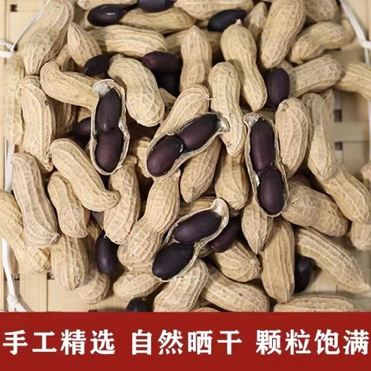 农家自种带壳手工挑选富硒黑花生,可做种子24年新货