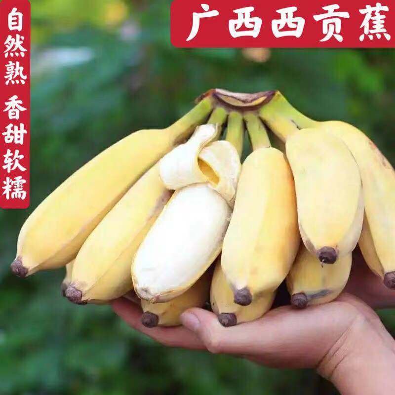 ۽㽶Ӧˮʻ⾻539