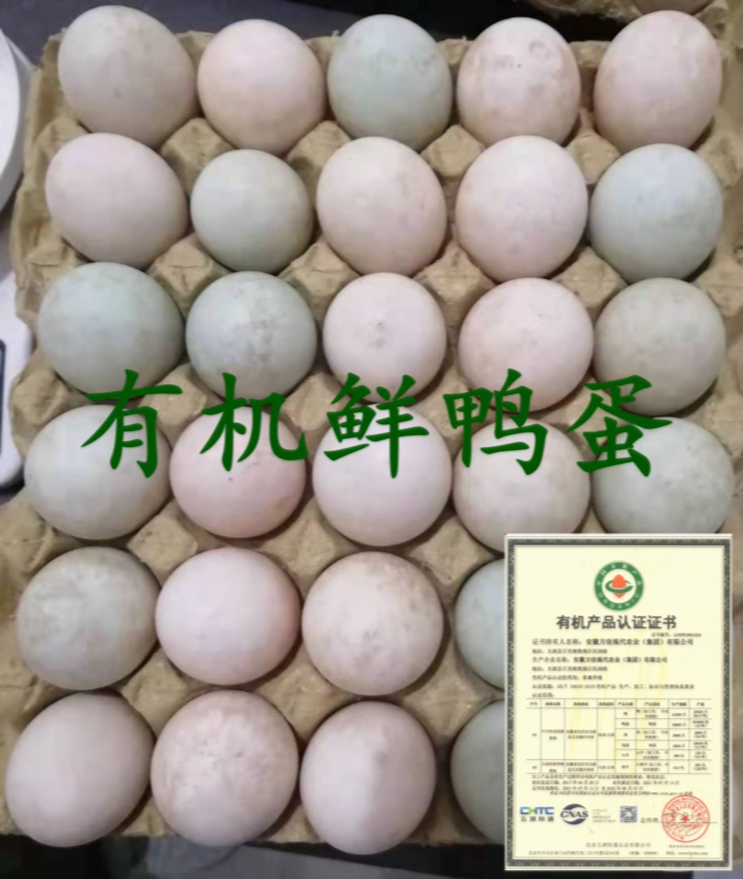 上海散养鸭蛋