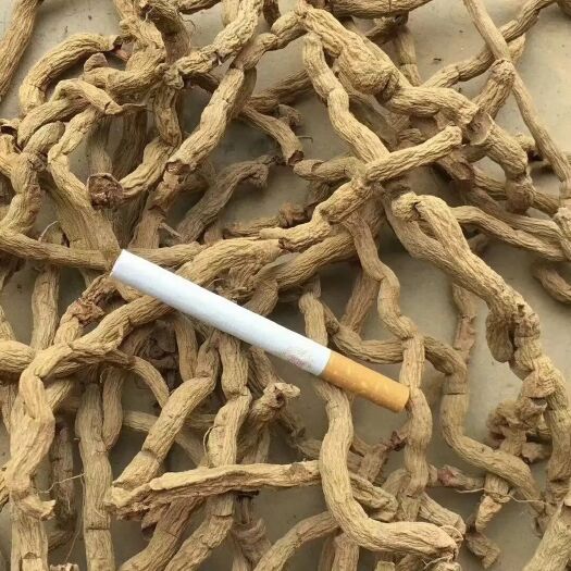 肇庆巴戟