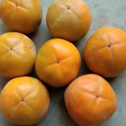 临猗县阳丰甜脆柿子