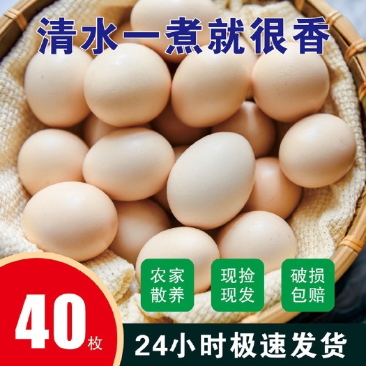 驻马店各种鸡蛋供应，供应各大电商平台，一件代发，可发大车