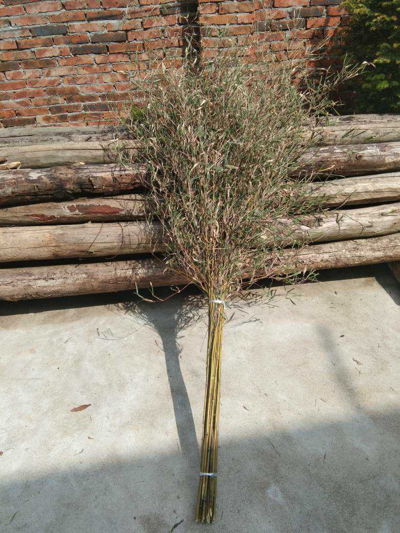 环卫，学校，医院，粮场专用竹扫把
