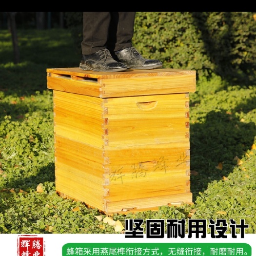 桂平市国际标准蜂箱