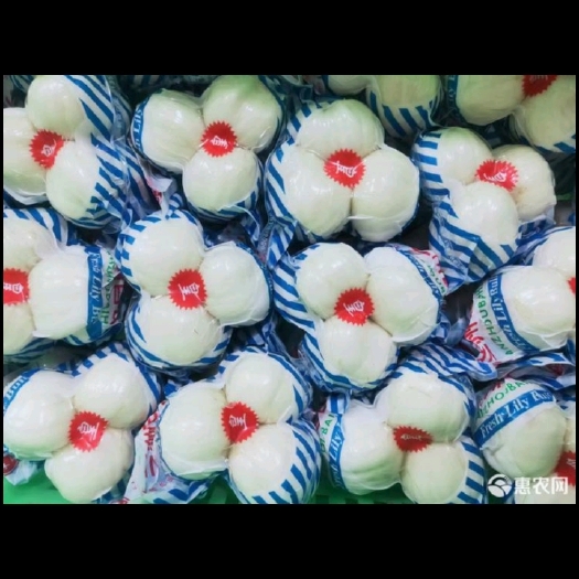 兰州甜百合 产地直发 大量有货 一手货源