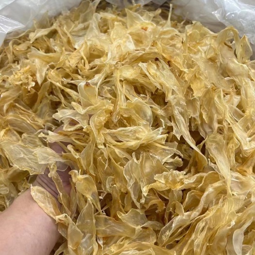 广州清水竹叶胶：实惠入门级别的鱼胶，不苦 ，腥味小，适合火锅、甜