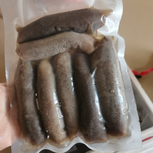 临高县海南黑海参
