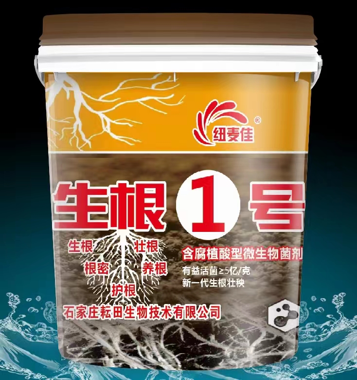 生根1号