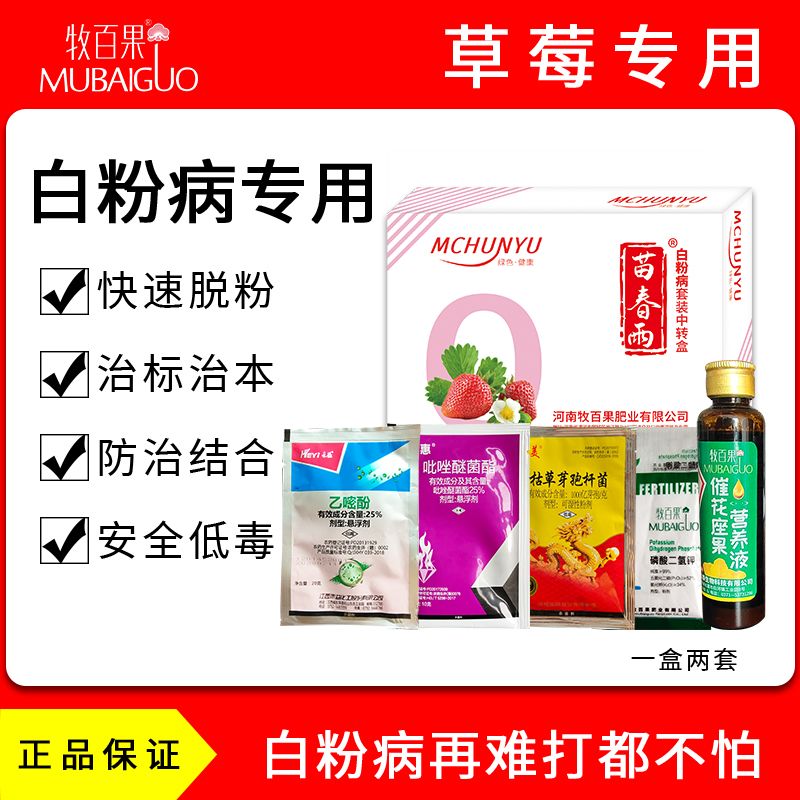 漯河农药化肥技术 草莓粉病克星，24小时脱粉
