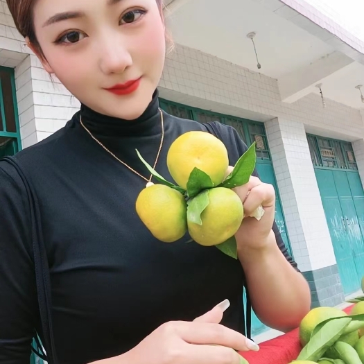 城固县陕西汉中城固特早熟蜜橘