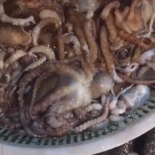 连云港迷你小八抓