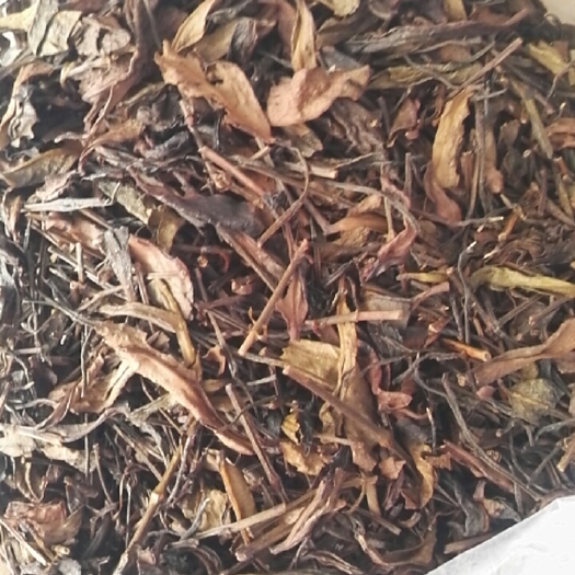 广州重火，高香凤凰单枞茶头