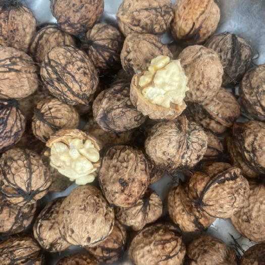 威宁县薄皮核桃，贵州高山薄皮核桃香甜可口