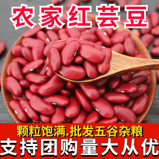 临沂红芸豆  现货供应红芸豆熬粥  豆馅原料五谷杂粮袋装50斤