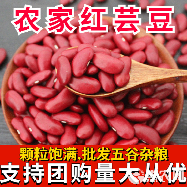 红芸豆  现货供应红芸豆熬粥  豆馅原料五谷杂粮袋装50斤