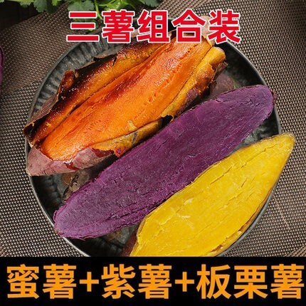 莒南县山东紫罗兰紫薯批发电商发物流板栗红薯烟薯25济薯26发车