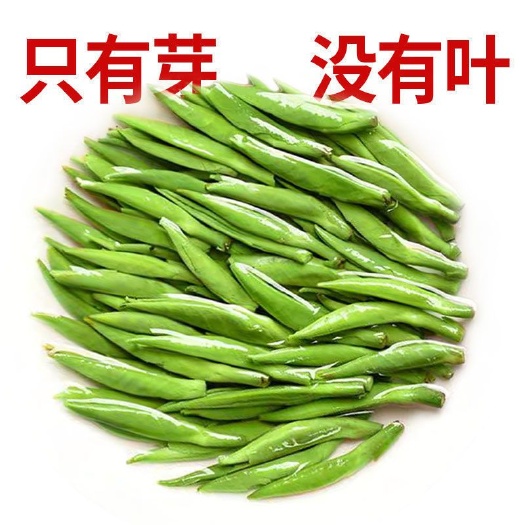 雀舌茶  2025新茶雀舌绿茶明前特级茶叶竹叶嫩芽浓香毛尖春