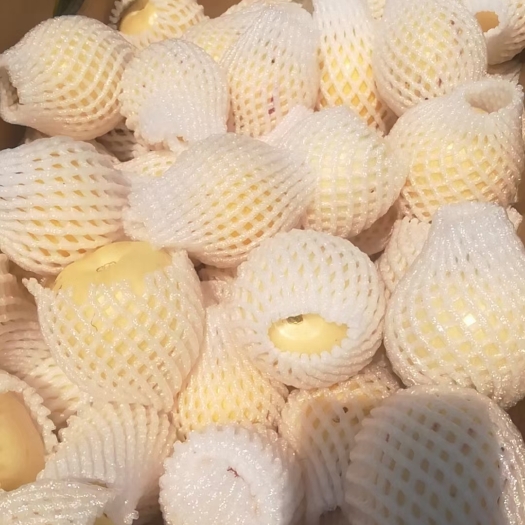 昌宁县人参果