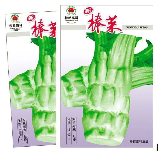 邵东市四川棒菜种籽秋冬季特大笋子芥种耐寒芥菜头种子青笋庭院蔬菜种孑
