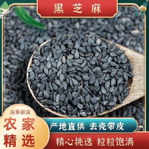 亳州新货黑芝500g麻农家自种生黑芝麻无染色干净颗粒饱满生