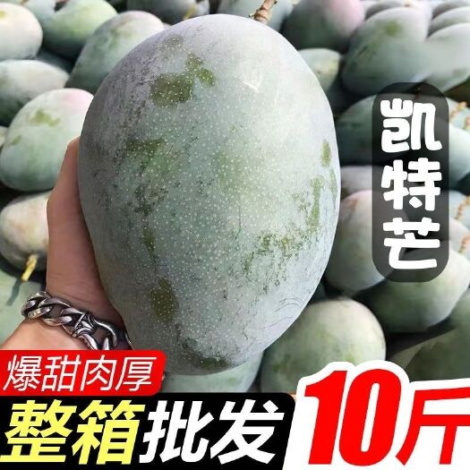 攀枝花【产地直发】攀枝花凯特芒果10斤装整箱四川大脸芒非金