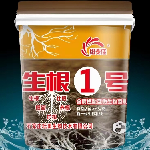 行唐县生根1号