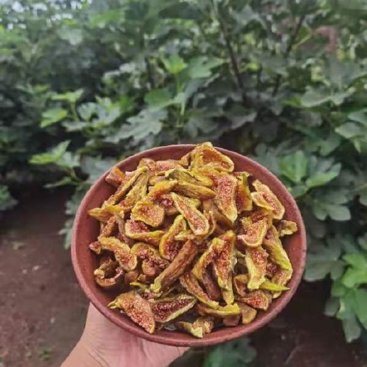 烟台无花果干  胶东黄皮布兰瑞克和青皮树上全熟烤制